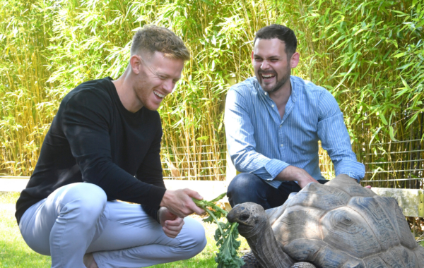 Visitors participating in tortoise experience